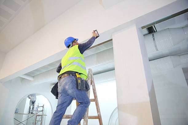 Best Ceiling Drywall Installation  in Peoria Heights, IL